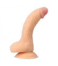 LUCA 6
