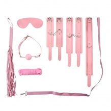 ZENN 10-Piece Complete Beginners Set - Pink