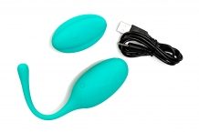 Remote Controlled Love Egg