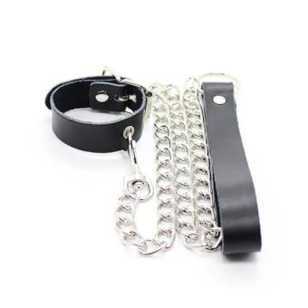 Collar and Leash