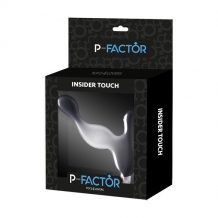 Insider touch anal plug with bullet