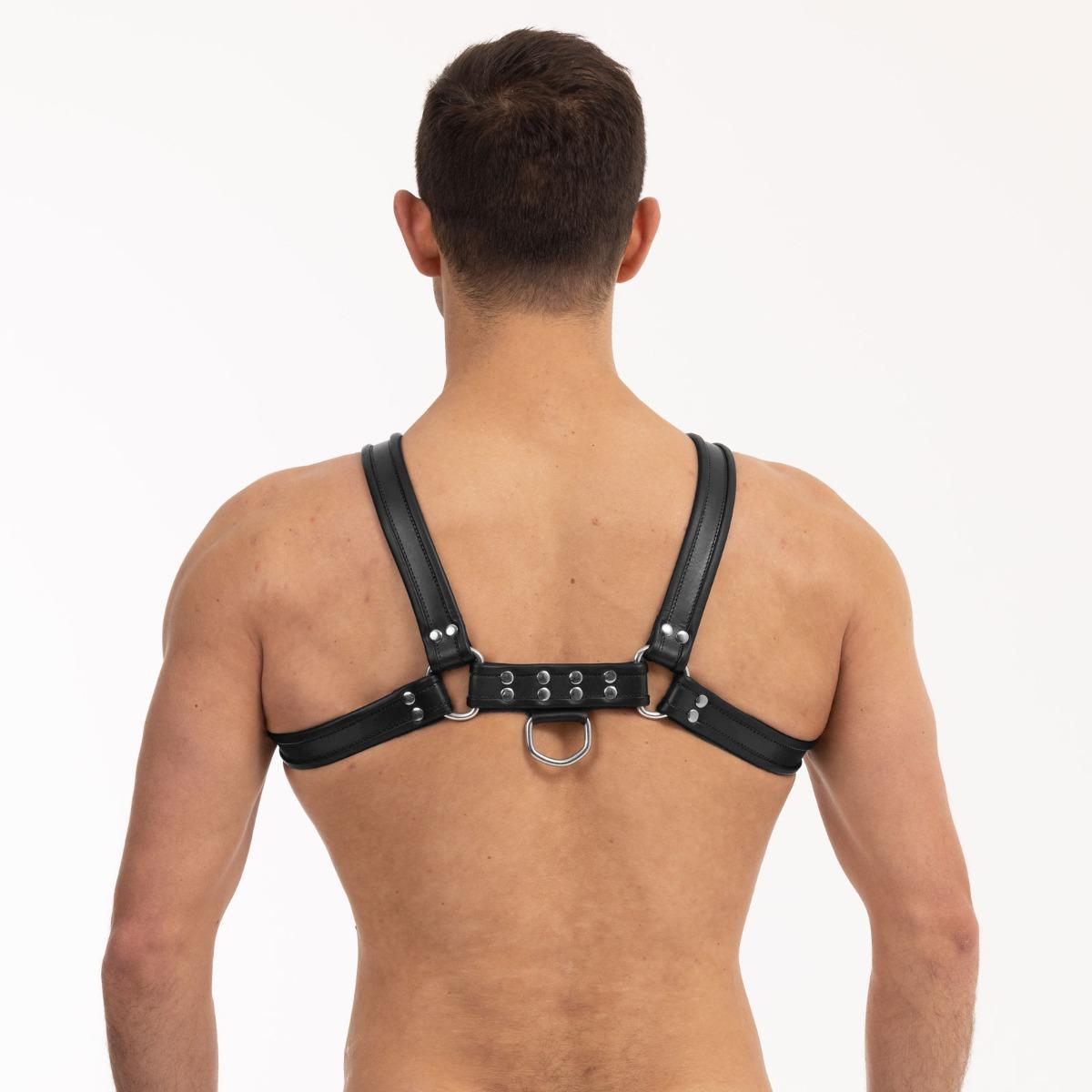 Prowler RED Bull Harness Black Medium