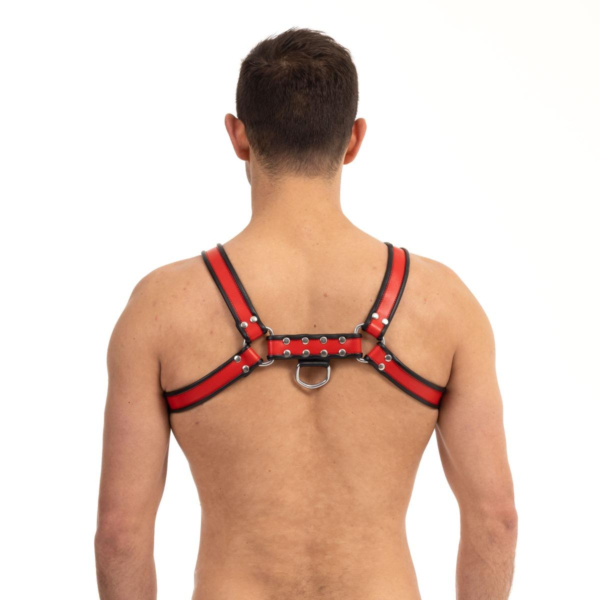 Prowler RED Bull Harness Black/Red Large