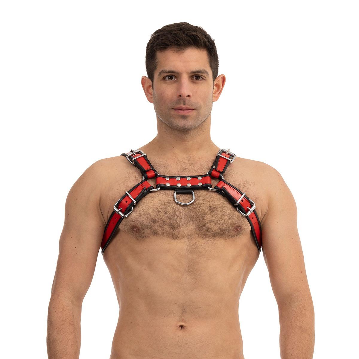 Prowler RED Bull Harness Black/Red Large